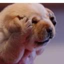 Sarah Hailey - @SarahHailey4 - Twitter