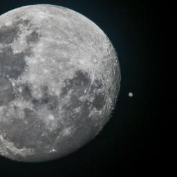 xyzegg's profile picture. 