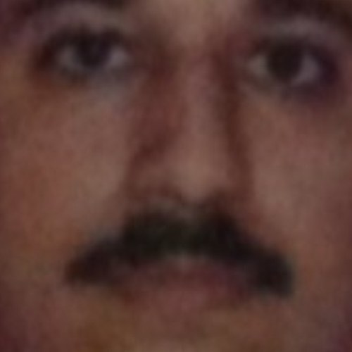 ansarija Profile Picture