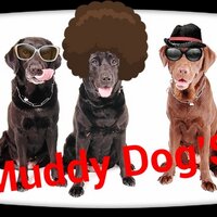 Muddy. Dog'$ (@notthinkfeeeeel) 's Twitter Profile