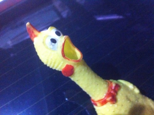 pollosufrido's profile picture. 