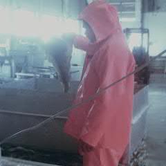 lassebrun's profile picture. 