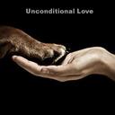 Kris Wagoner - @kwags74 - Twitter