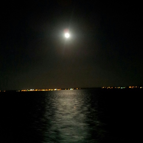 bernaljose's profile picture. 