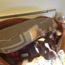 leslie brophy - @BrophyLeslie - Twitter