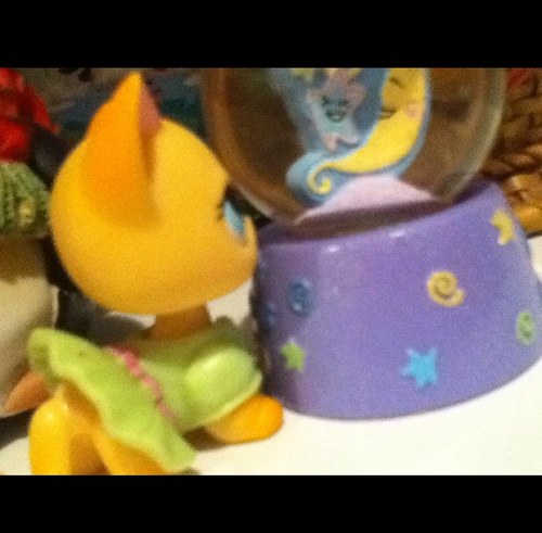 Bailey_Smiles's profile picture. merry christmas santa the nosey stalker