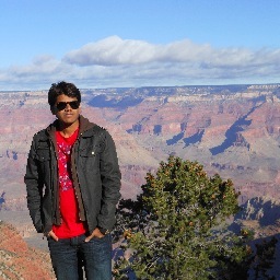 Niharmarrapu's profile picture. 