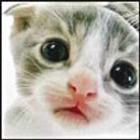 Jadrian (@bubopened) 's Twitter Profile