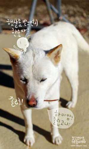 kmjs100's profile picture. 