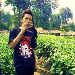 PunkBhy's profile picture. 