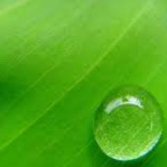 Success consists of going from failure to failure without loss of enthusiasm.