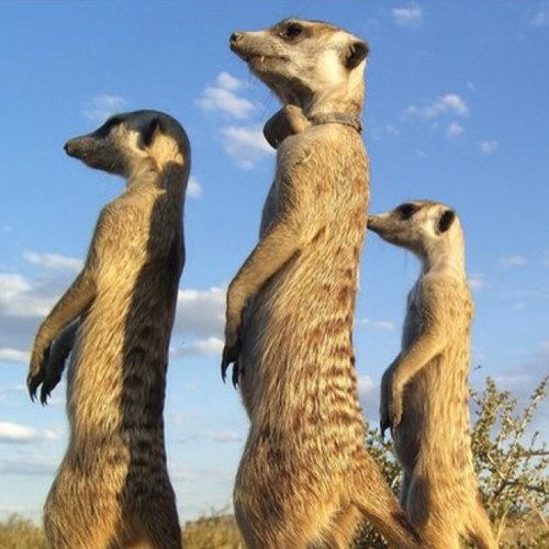 garyoboy's profile picture. London