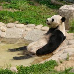 探り探り。