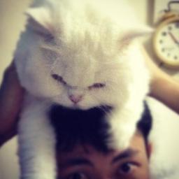 peachypiz's profile picture. road bike user, wifi attacker