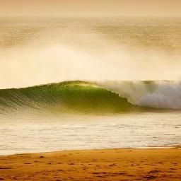 tarifasmile's profile picture. 