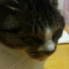 ams01_twi's profile picture. 