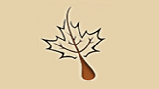 Franz Sugarbush is Owned and Operated by Lloyd and Theresa Franz from Northern Wisconsin.