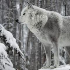 Yonmaruさんのプロフィール画像
