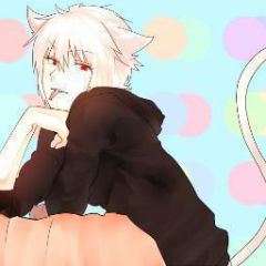 suto(すーと)さんのプロフィール画像