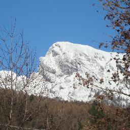 mariangeladarol's profile picture. 