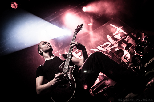 nielsvissia's profile picture. 