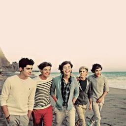 I love Zayn♥Harry♥Louis♥Liam♥Niall♥Ariana♥Demi♥Selena♥Justin♥ Furches Twins ❤MyFollowers♥ ILY ALL ♥_♥ xx