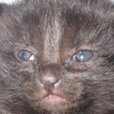 David Molinaro - @dmol33 - Twitter