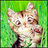 hugosyfyjy's profile image