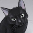 qunitaqaben Profile Picture