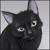 Merill (@qunitaqaben) Twitter profile photo Merill (@qunitaqaben) Twitter profile photo