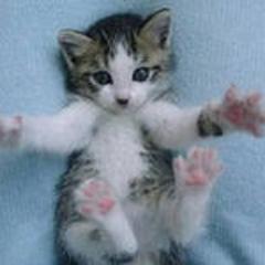 nigst1's profile picture. 