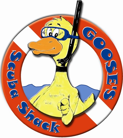 The only SSI Instructor Training Center the Chicagoland Area.  Serving Dive Enthusiasts since 1983.