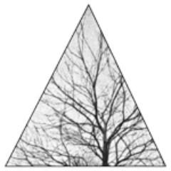 Experimental music and other audio projects via http://t.co/Lo3diifK and ∃ radio. We support free information and creative commons.