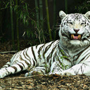 Meet Thakkar - @Meet_183 - Twitter