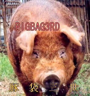@Pigbag_3rd