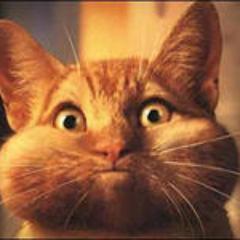 nistgaz's profile picture. 