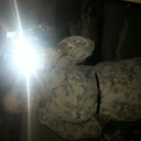 corinne chalmers - @corinne88482798 - Twitter