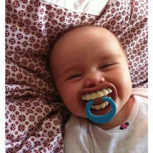 Filbert72's profile picture. 