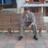 ManuelPealozaPe's profile image