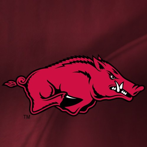 God first, Family second, and everything else is Razorbacks