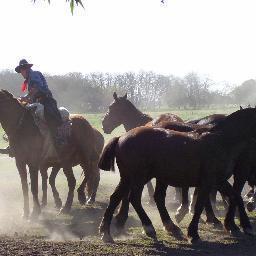 La mejor forma de conocer el campo argentino! Día de campo y alojamiento a sólo 1 hora de Capital Federal! 011.5263.3027 | info@donsilvano.com