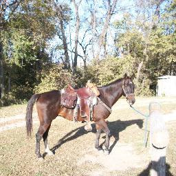 Trail ride outfitter, Owner, Instructor, Guide, Reenacter, Hunter, Second amendment supporter, Preper, Father, Survivor ,Not much else counts.