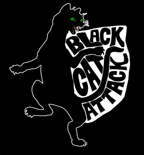 blackcatattack's profile picture. Radical death punk band from Oshawa, Ontario, Canada