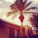 William Mescher - @AlphaCatHunter - Twitter