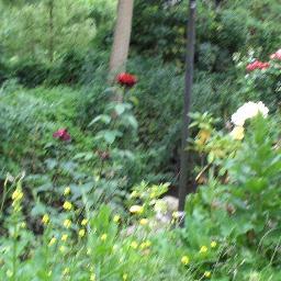 MonikaNutz's profile picture. 