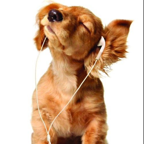 J0SHDEVINE's profile picture. 