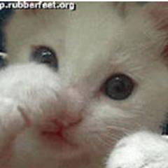 nerfser's profile picture. 