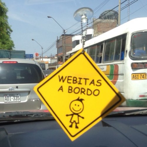 Fred_webweb's profile picture. 