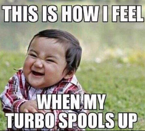 ozzie546's profile picture. 