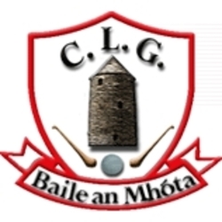 GAABallymote Profile Picture